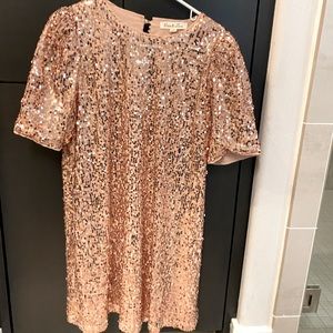 Blush sequin dress